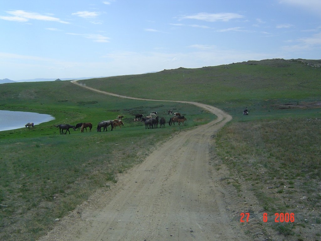 DSC04297.JPG