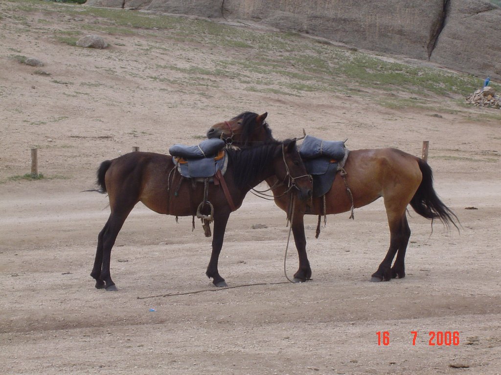 DSC05126.JPG