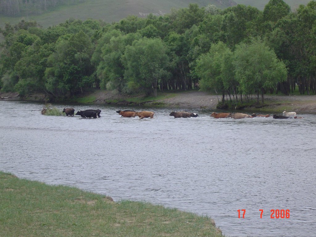 DSC05139.JPG