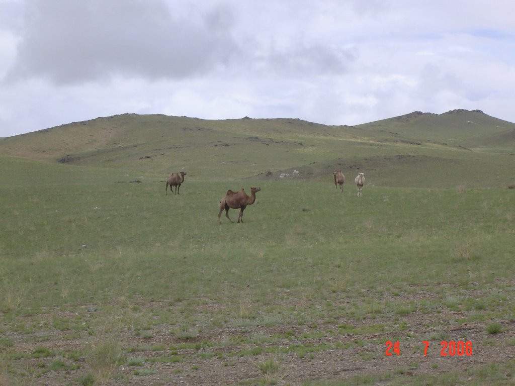DSC05400.JPG