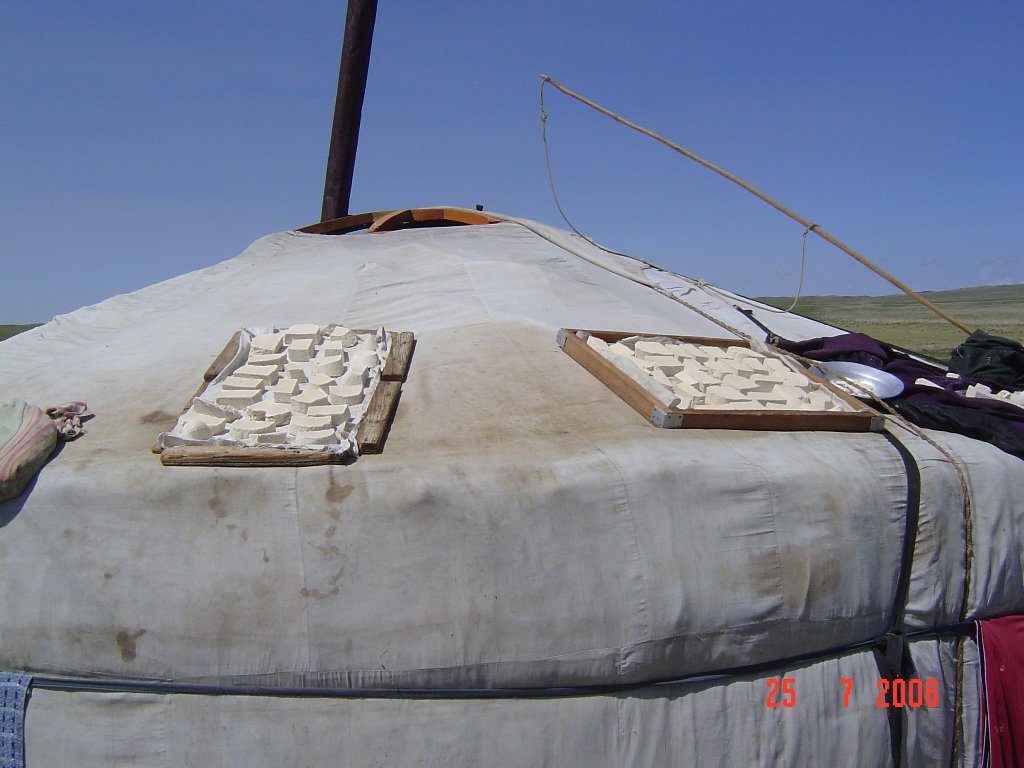 DSC05486.JPG