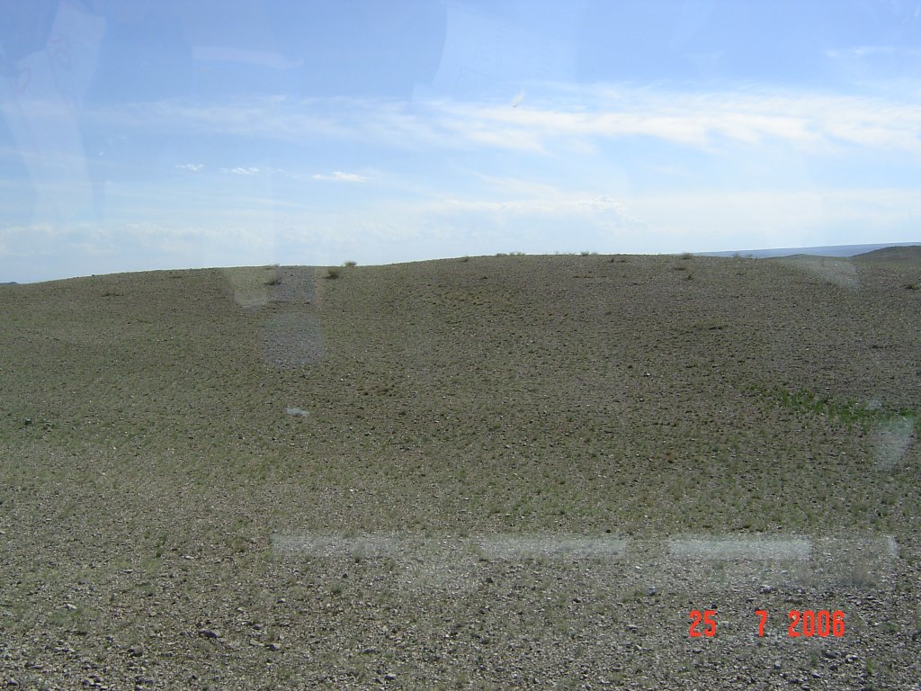 DSC05538.JPG