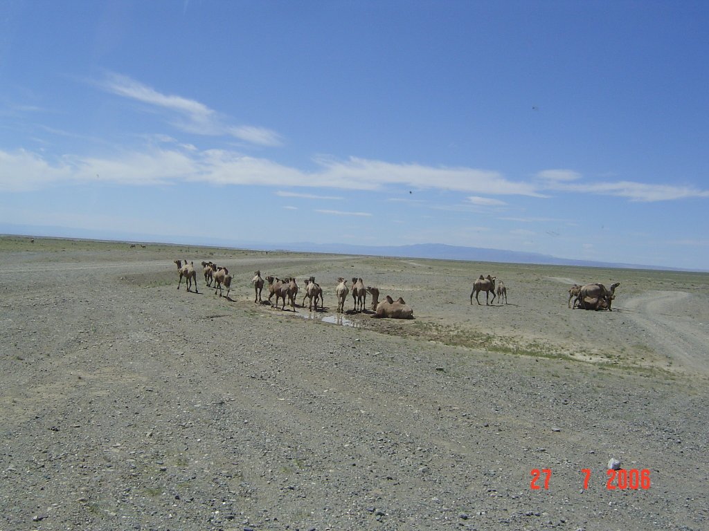 DSC05599.JPG