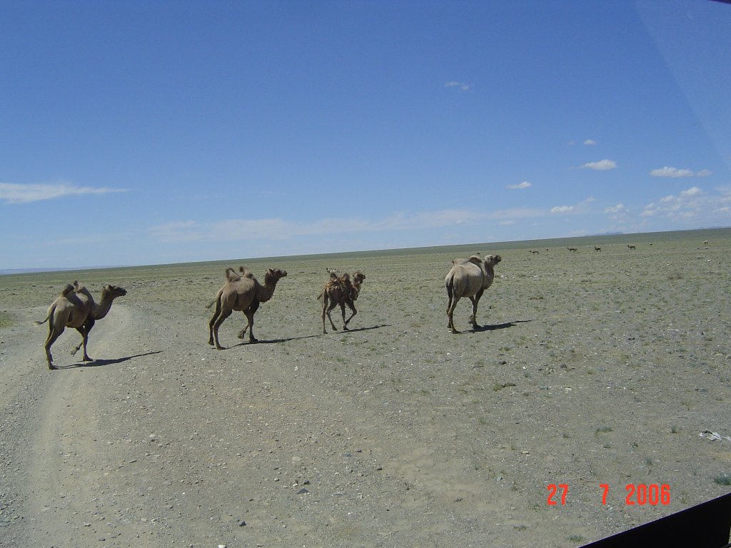DSC05600.JPG