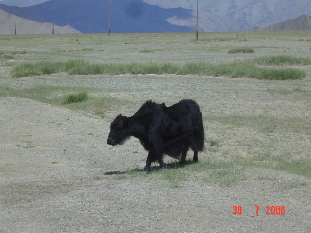 DSC05715.JPG