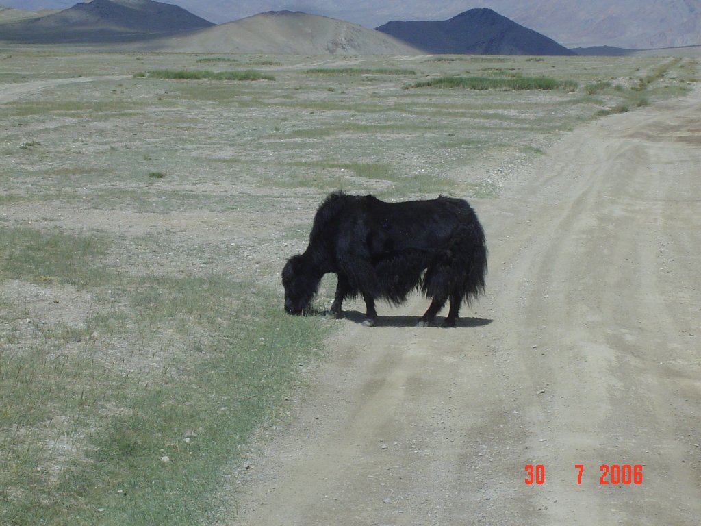 DSC05718.JPG